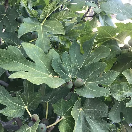 Апартаменти Baia Taormina *